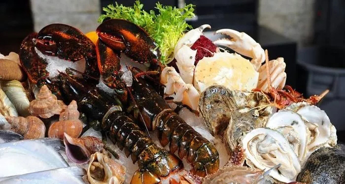 1519613387741236.jpg 640.webp-(1).jpg